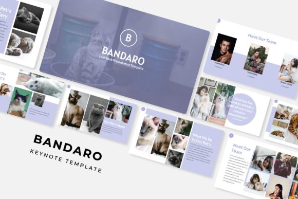 Bandaro Keynote Template: A Versatile Presentation Solution for Professionals